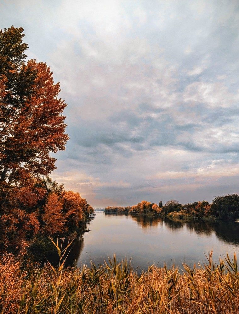 Photograph by AlexaL