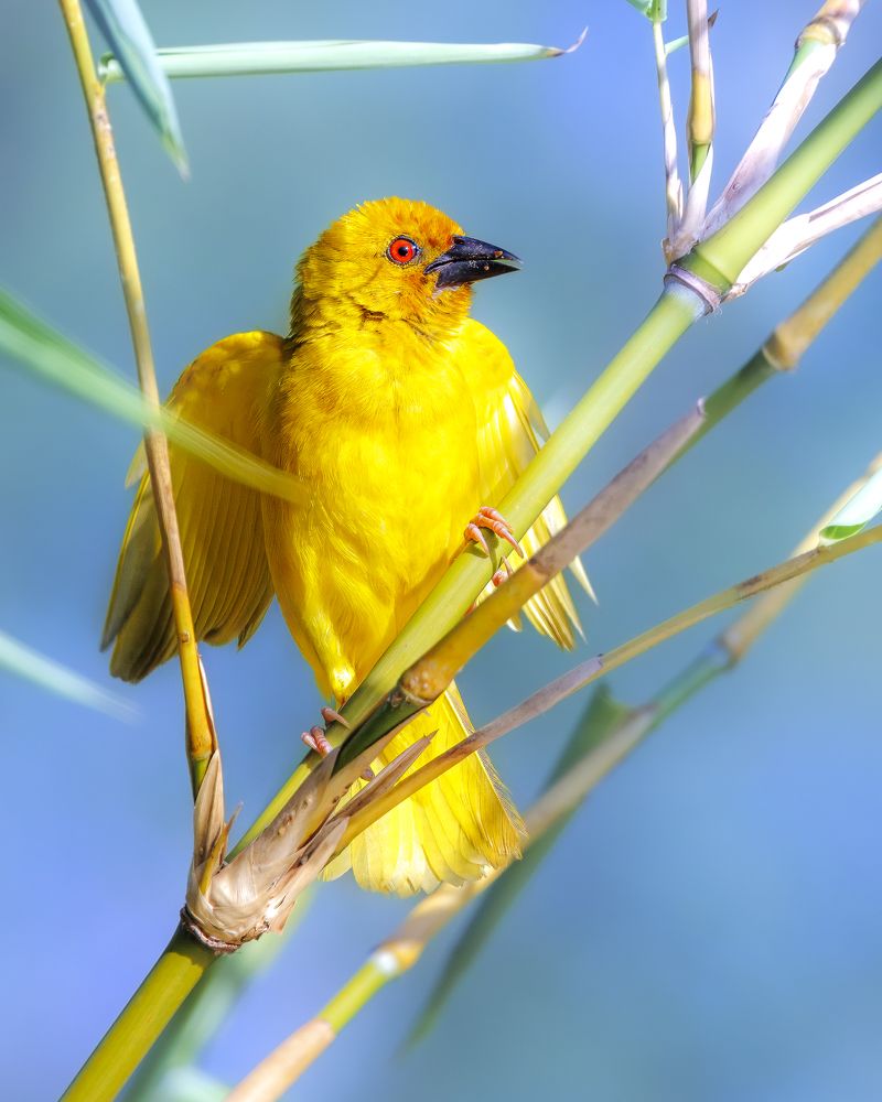 Photograph by Ellen Lichtenheldt