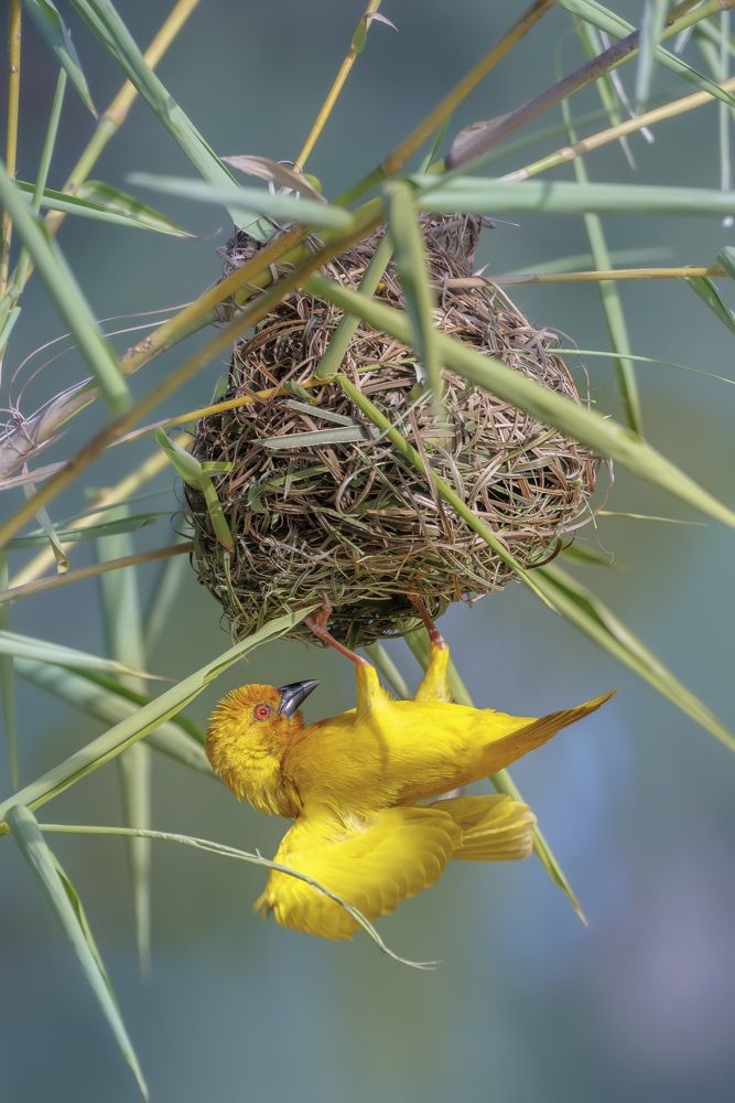 Photograph by Ellen Lichtenheldt