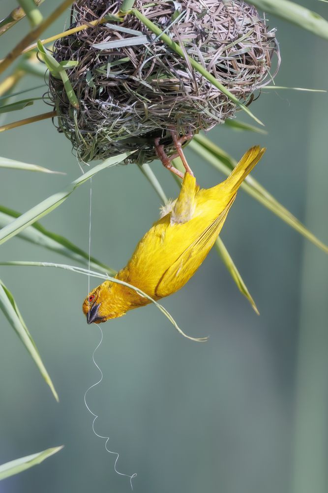 Photograph by Ellen Lichtenheldt