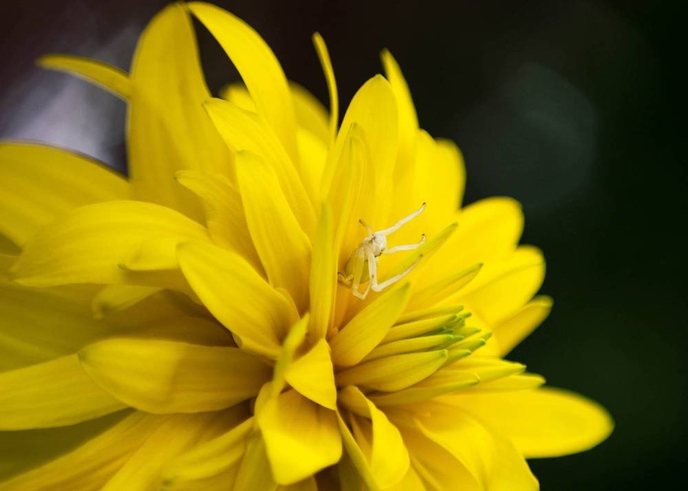 Photograph by Екатерина Медведева