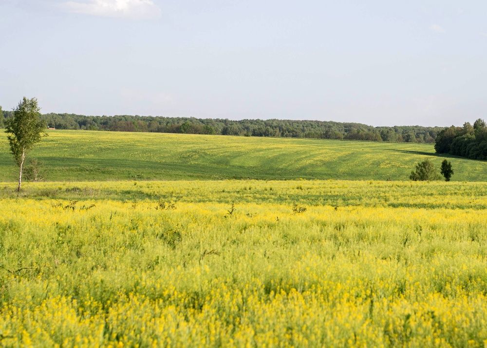 Photograph by Екатерина Медведева