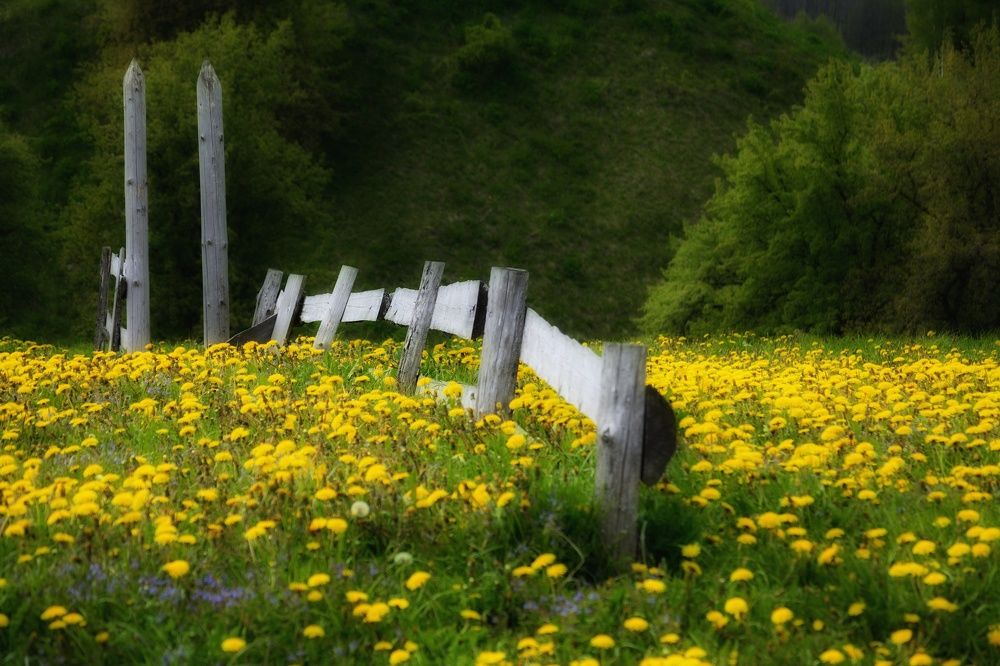 Photograph by Сергей Симаков