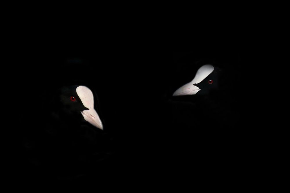 Добрый вечер!