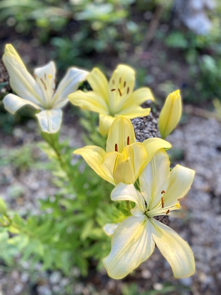 Photograph by Наталья Душакова