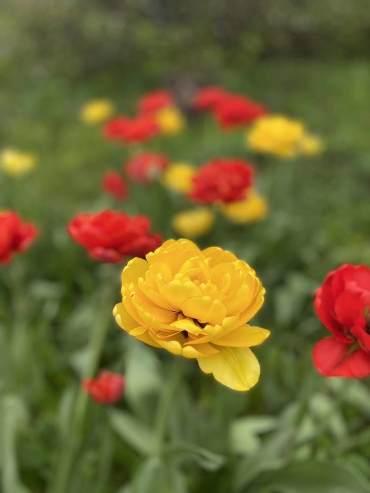 Photograph by Наталья Душакова