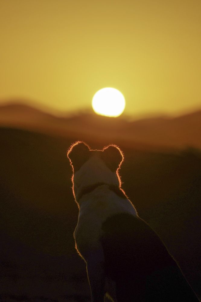 Встреча рассвета