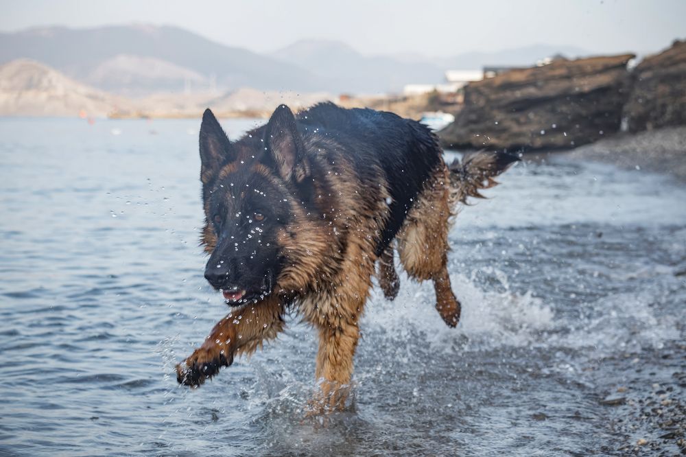 Photograph by Любовь Головина