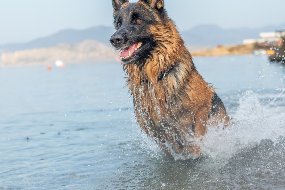 Photograph by Любовь Головина