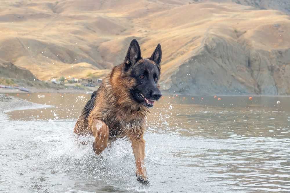 Photograph by Любовь Головина