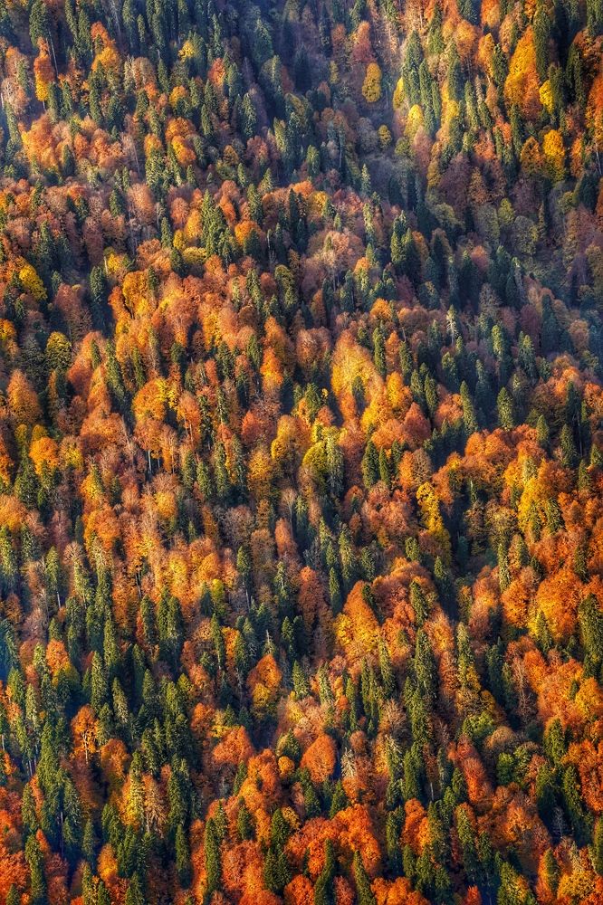 Photograph by Анжелика Гладких