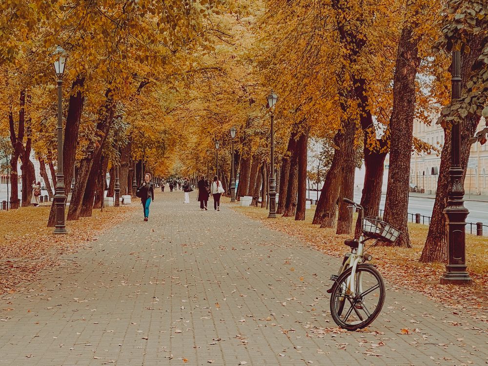 Photograph by Svetlana