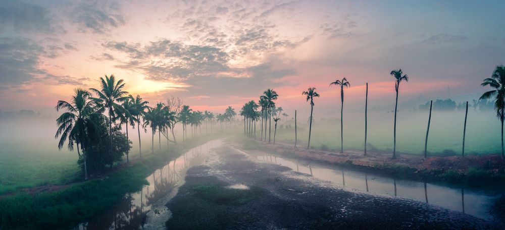 Photograph by Devanand K S