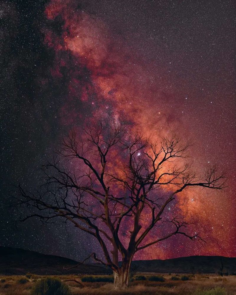 Фотография автора Nieves Gloria Alvarez Diaz