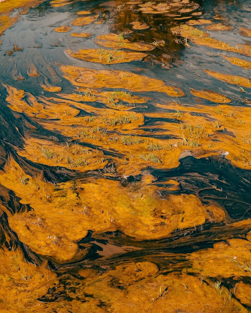 Photograph by keyhan maserat