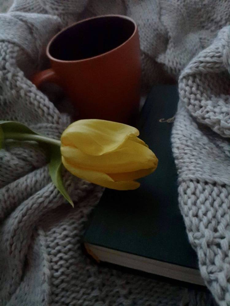 Photograph by Oksana Smorodina