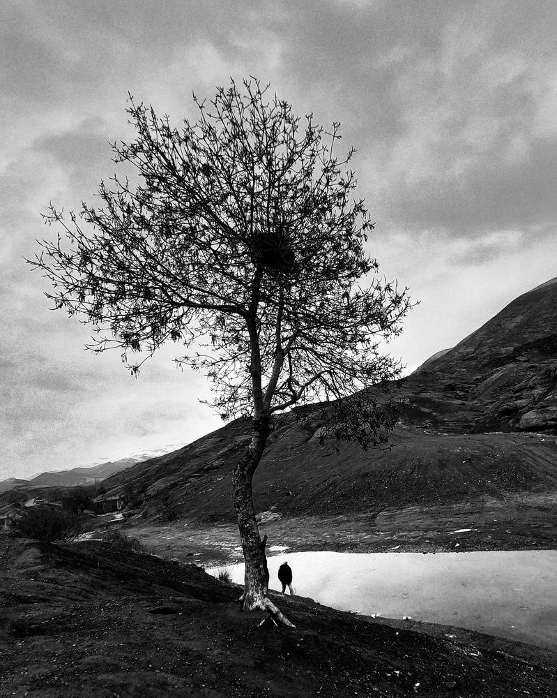 Фотография автора Samane Naji