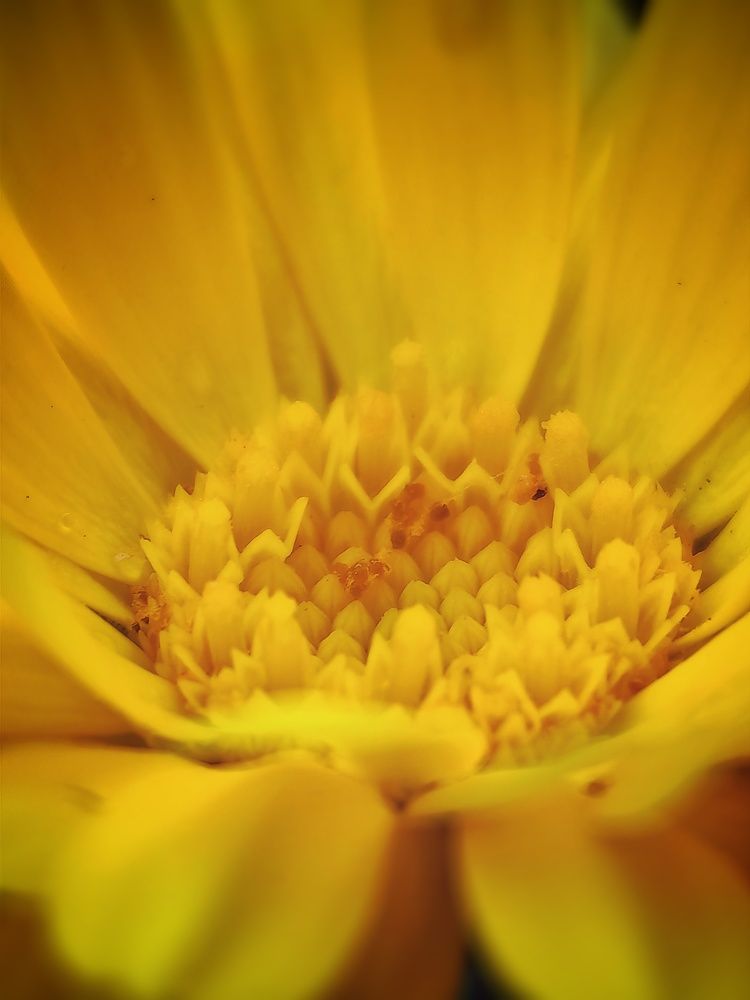 Photograph by Сергей Зайцев