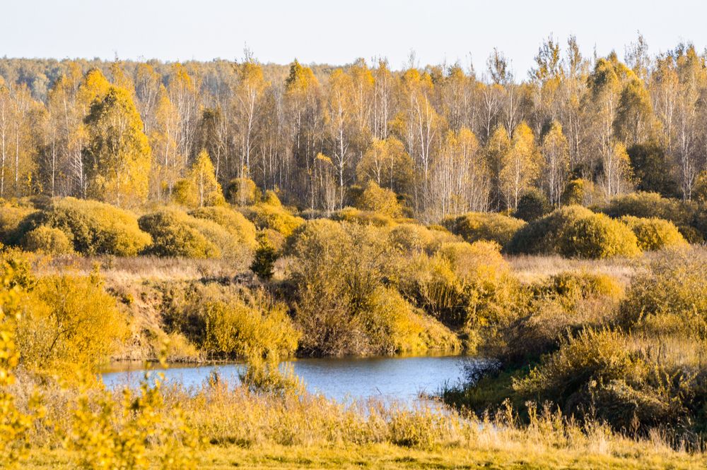 Photograph by Анастасия Гурова