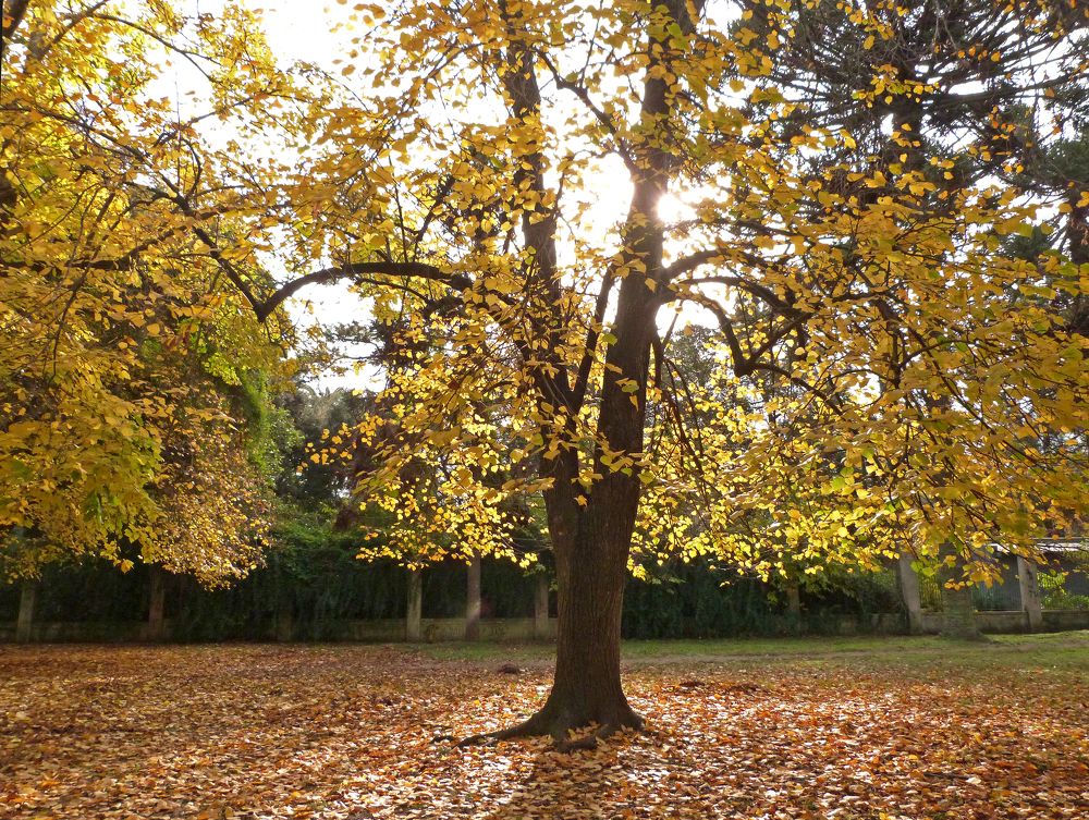 Photograph by GLEYDA GUTIÉREZ