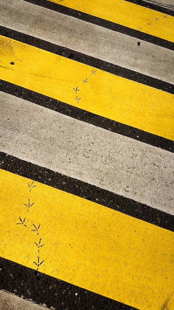 Photograph by Марина