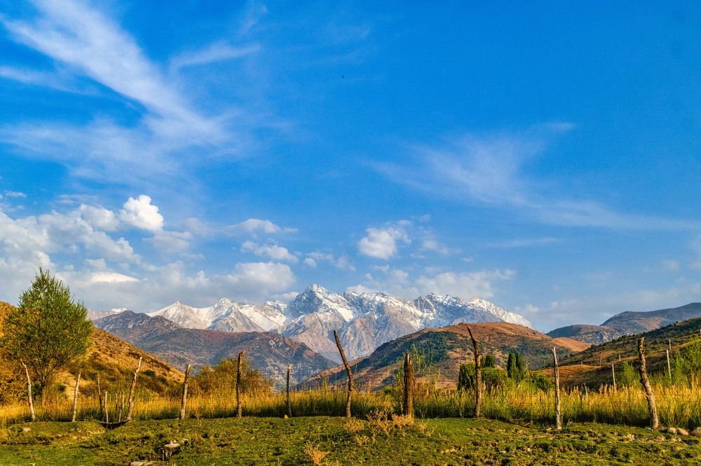 Photograph by Артем Орлянский