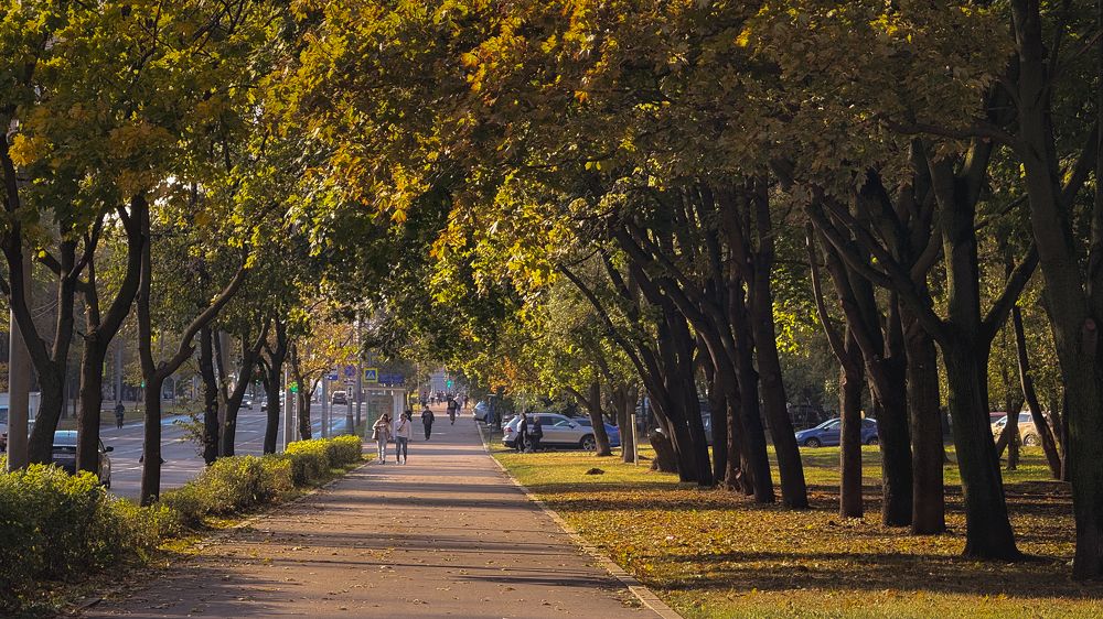 Photograph by Марина