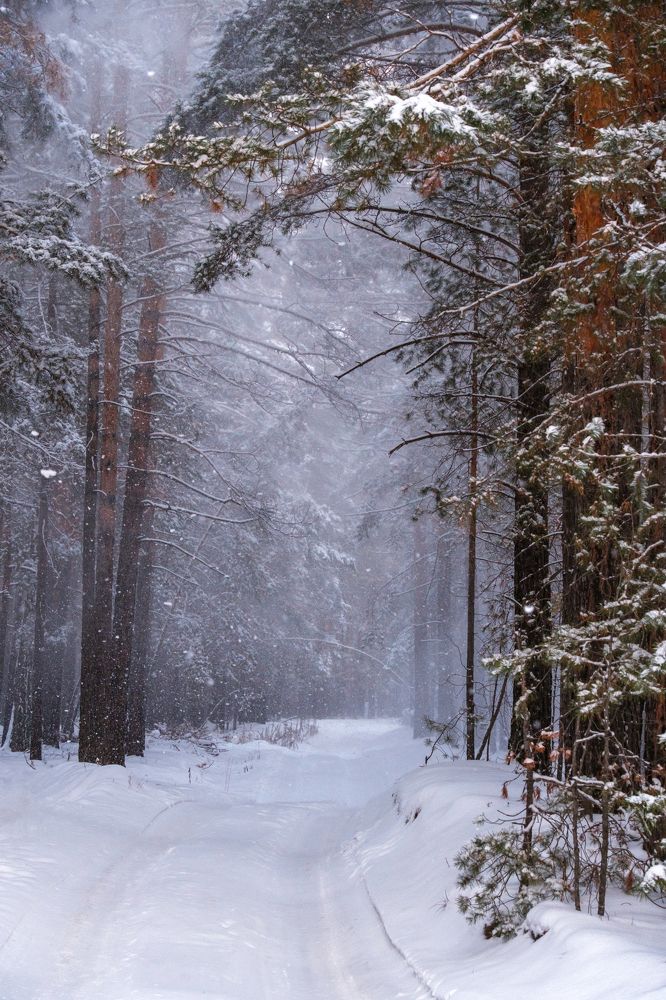 Photograph by Бодрягин Виталий