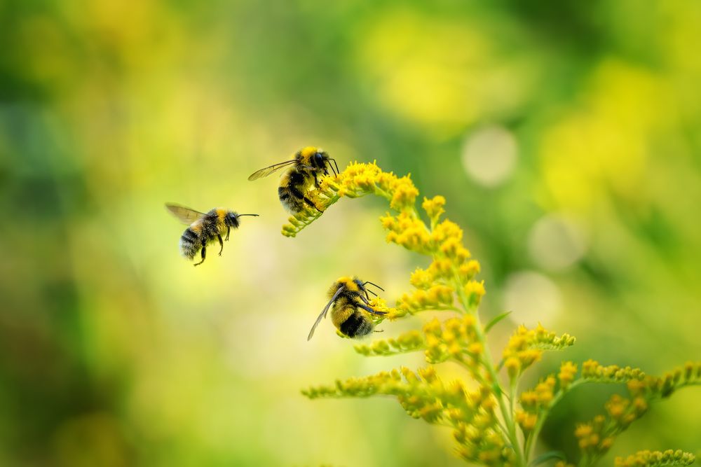 Photograph by Рагинская Ольга