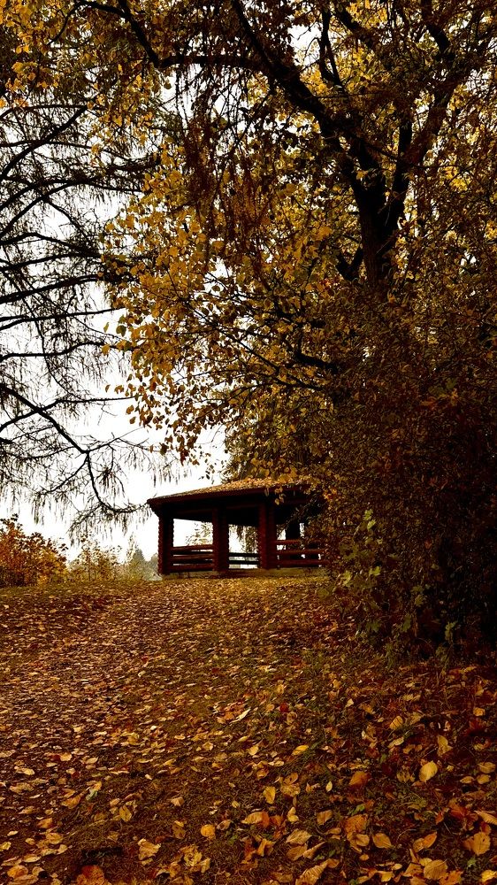 Photograph by Светлана Родионова