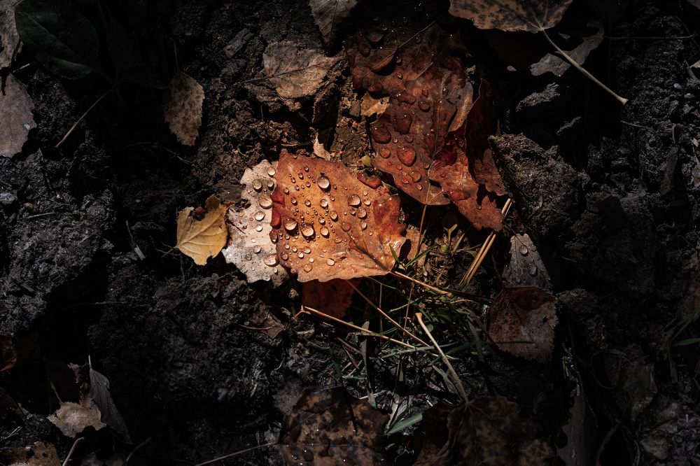 Фотография автора Александр