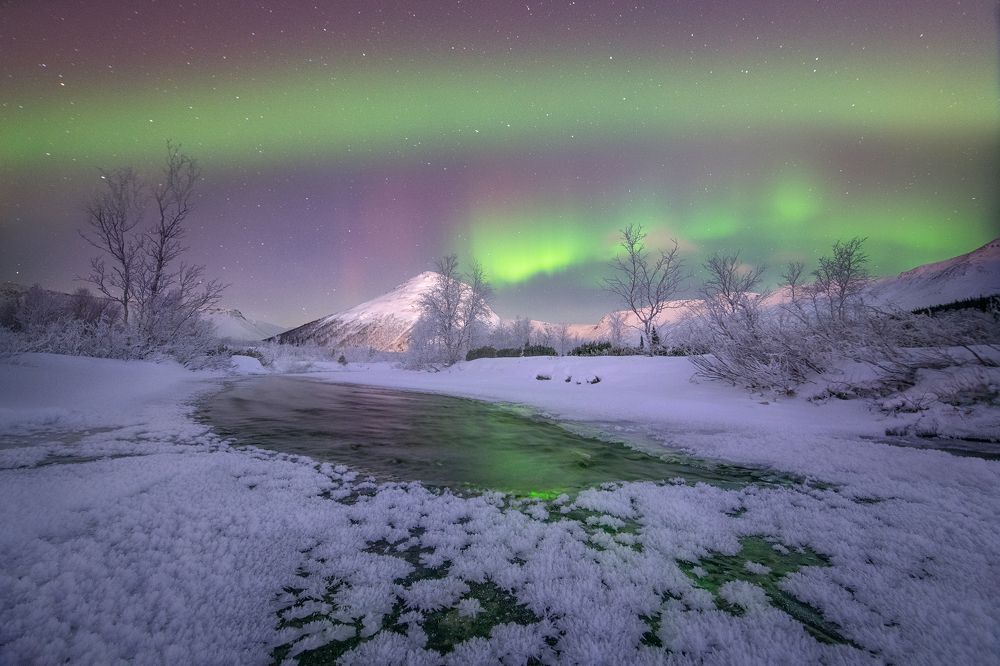 Photograph by Елена Ермолина