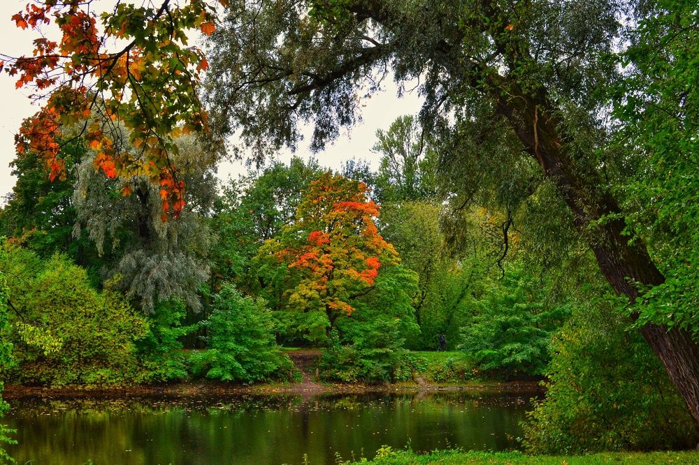 Photograph by Дайана