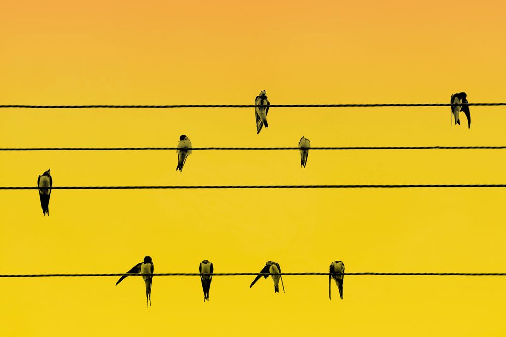 Photograph by Игорь Ефремычев