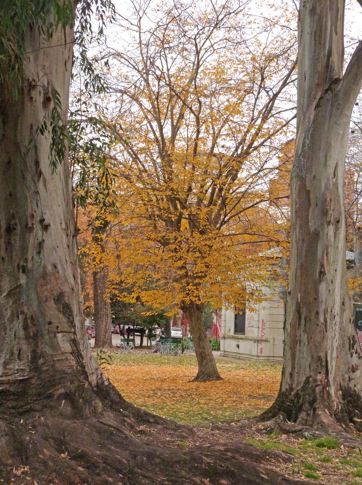 Photograph by GLEYDA GUTIÉREZ