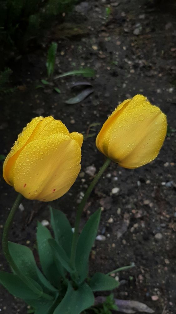 Photograph by Оксана Корепанова