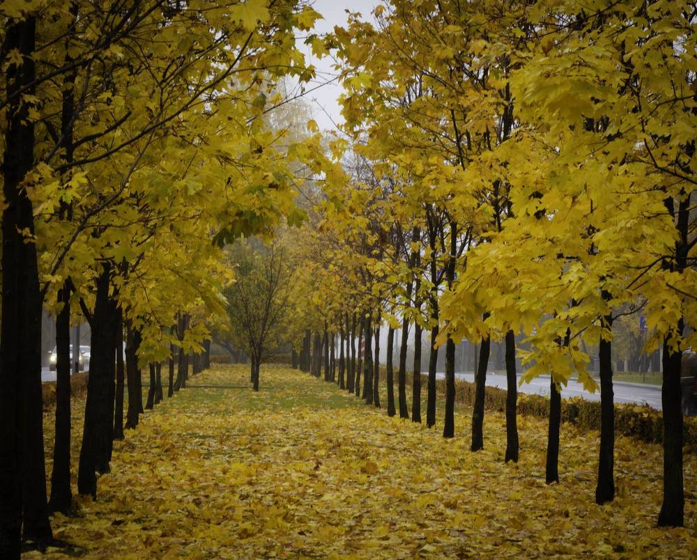 Photograph by Aleksandr Kolonsky