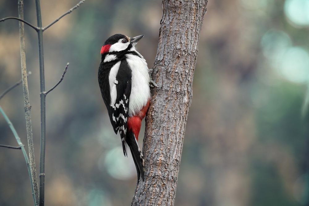 Photograph by Рагинская Ольга