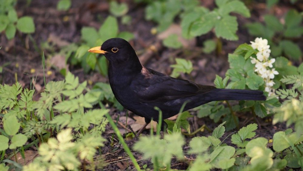Photograph by Жанна Чередниченко