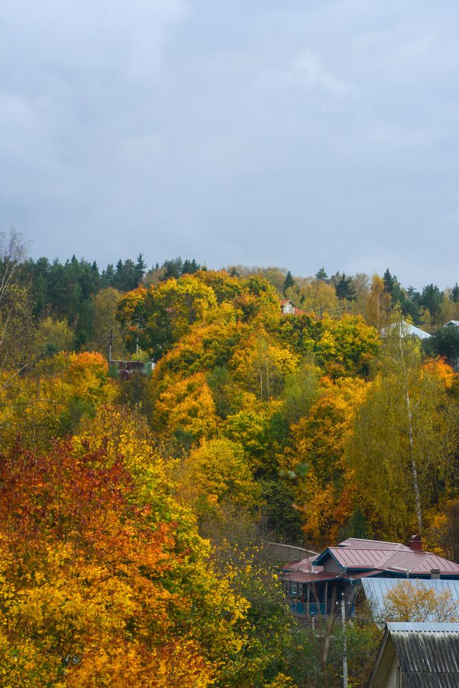 Фотография автора Самохин Андрей