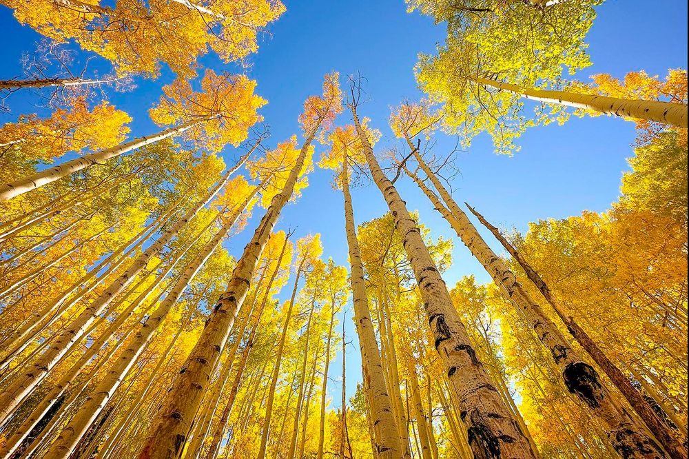 Photograph by Otto Acosta