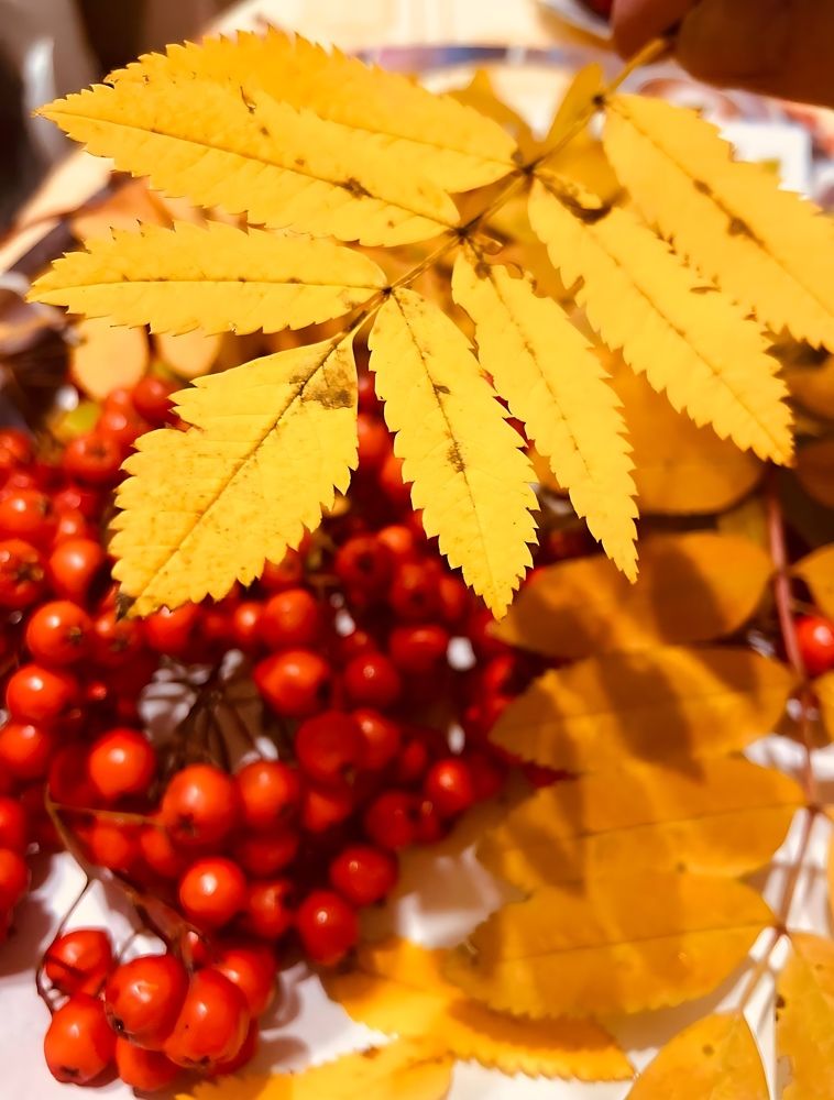 Фотография автора Татьяна Савранчук