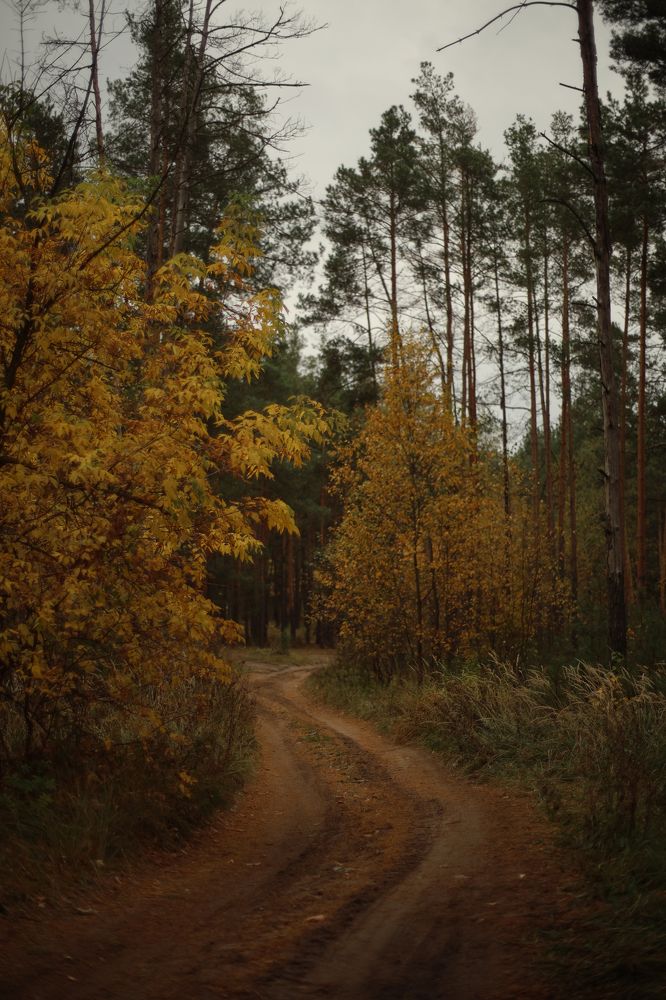 Photograph by Angelina Karelina