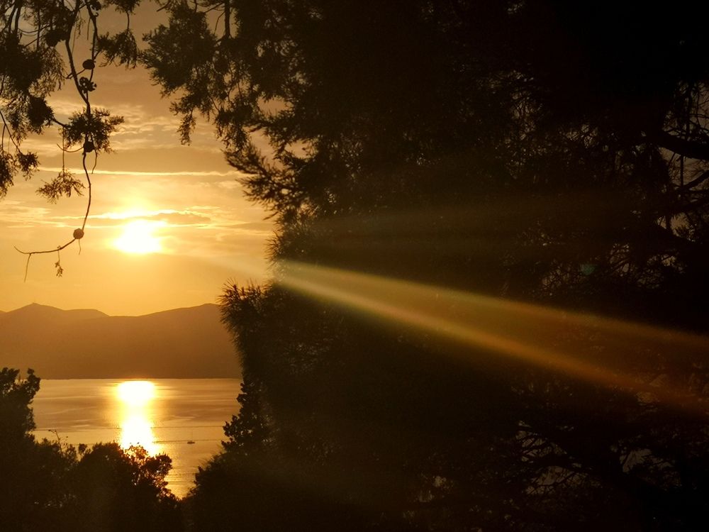 Photograph by Olga Asson