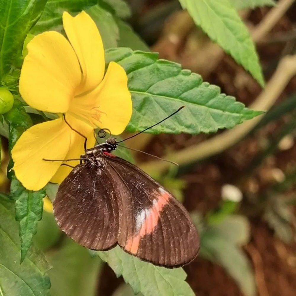 Фотография автора Nieves Gloria Alvarez Diaz