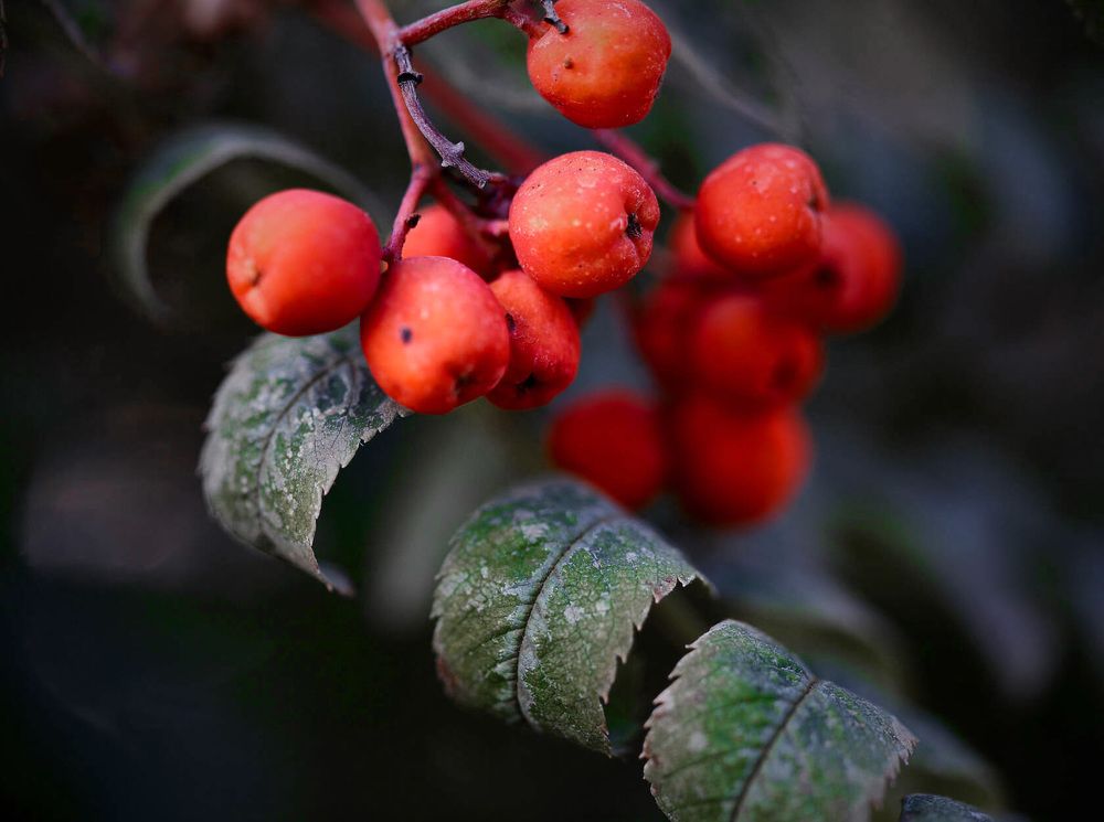 Photograph by Ткачёв Владимир