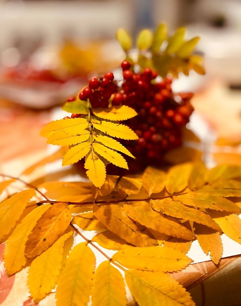 Фотография автора Татьяна Савранчук