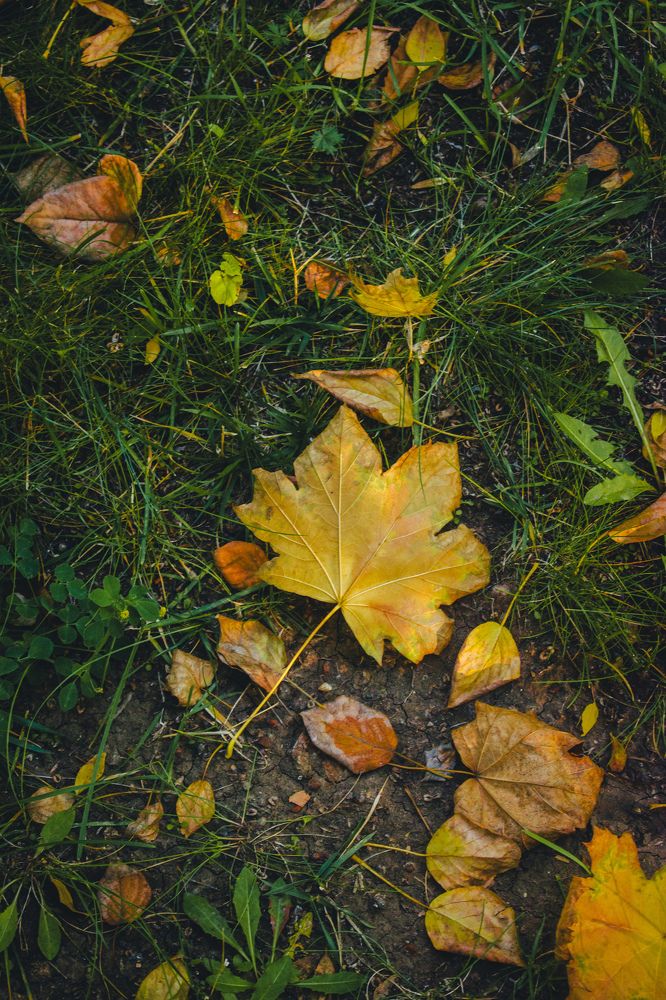 Photograph by Kanat Amre