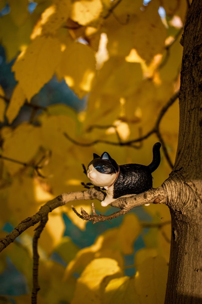 Photograph by Kanat Amre