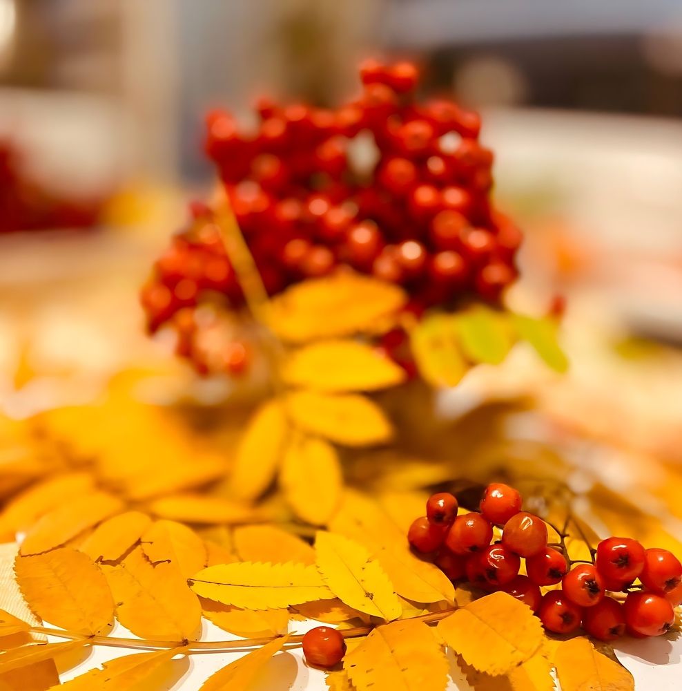 Фотография автора Татьяна Савранчук